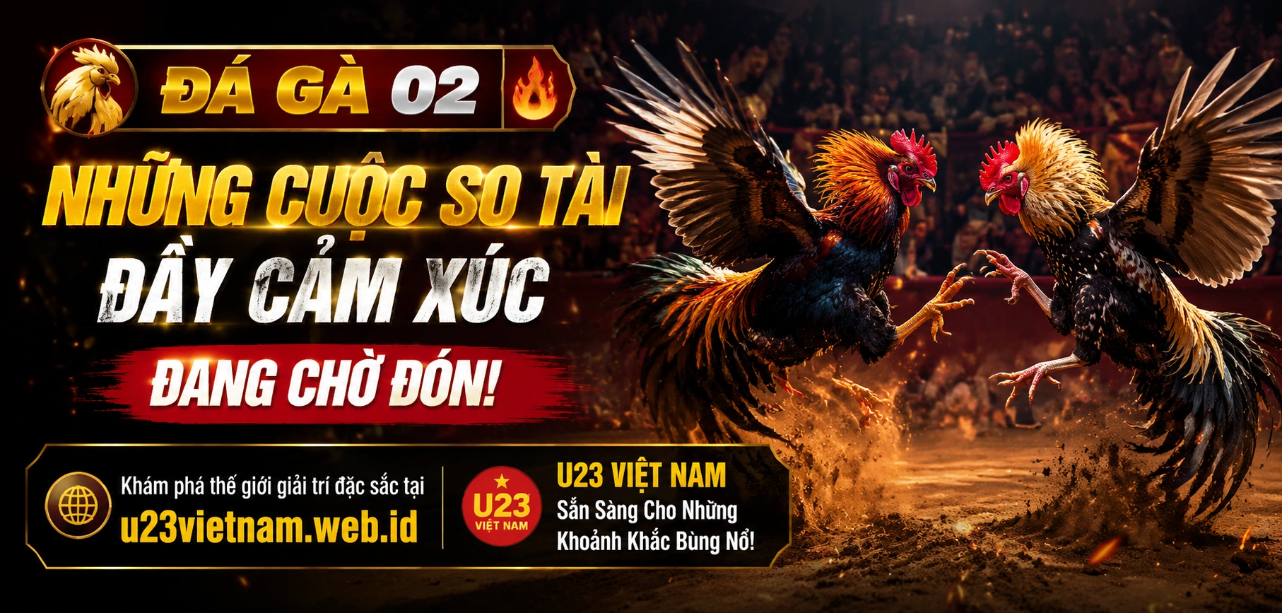 Sân đá gà Campuchia và trải nghiệm xem trực tiếp