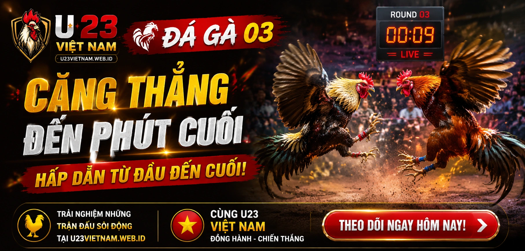 Xem đá gà online Full HD trên điện thoại